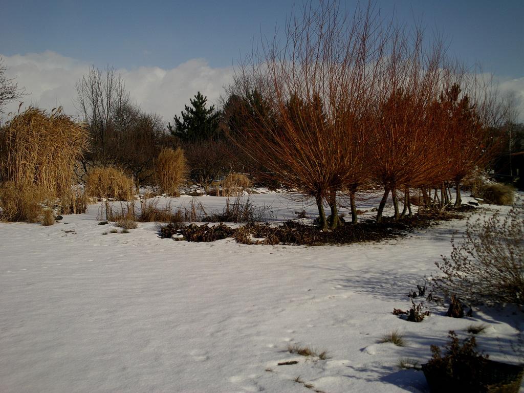 La Ferme De Sissi Apartment Smrzice ภายนอก รูปภาพ
