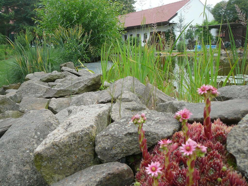 La Ferme De Sissi Apartment Smrzice ภายนอก รูปภาพ