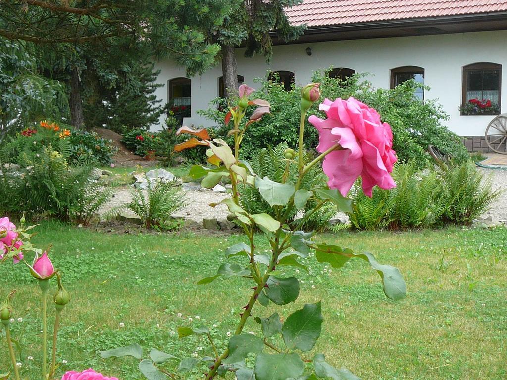 La Ferme De Sissi Apartment Smrzice ภายนอก รูปภาพ